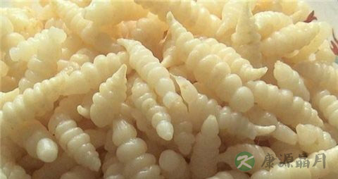 甘露子的药用价值_甘露子的副作用 甘露子的药用价值_甘露子的副作用
