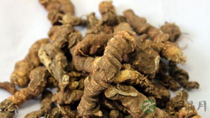 胡黄连的功效与作用_胡黄连的药用价值 胡黄连的功效与作用_胡黄连的药用价值