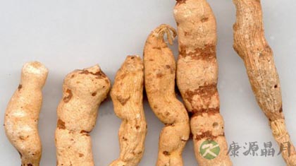 甘遂的功效与作用_甘遂的药用价值 甘遂的功效与作用_甘遂的药用价值