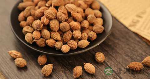 益智仁的药用价值_益智仁的副作用 益智仁的药用价值_益智仁的副作用