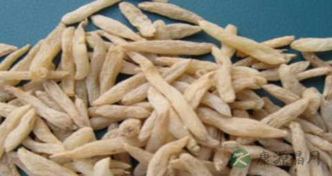 麦门冬的药用价值_麦门冬的副作用 麦门冬的药用价值_麦门冬的副作用