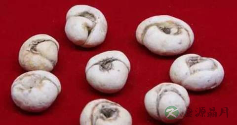 平贝母的药用价值_平贝母的副作用 平贝母的药用价值_平贝母的副作用