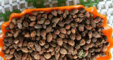 益智仁的药用价值_益智仁的副作用 益智仁的药用价值_益智仁的副作用