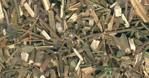 常见消炎中草药有哪些 常见消炎中草药有哪些