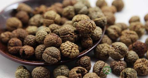 草豆蔻的药用价值_草豆蔻的副作用 草豆蔻的药用价值_草豆蔻的副作用