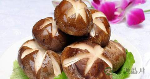 冬菇的功效与作用 冬菇的功效与作用