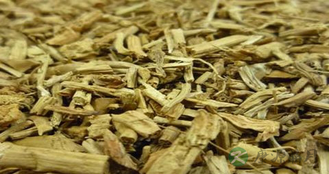 薏苡根的药用价值_薏苡根的副作用 薏苡根的药用价值_薏苡根的副作用