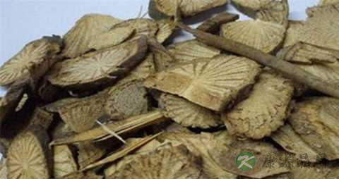丁公藤的功效与作用 丁公藤的功效与作用