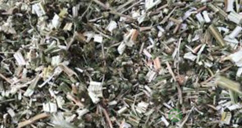活血化瘀的中草药有哪些 活血化瘀的中草药有哪些