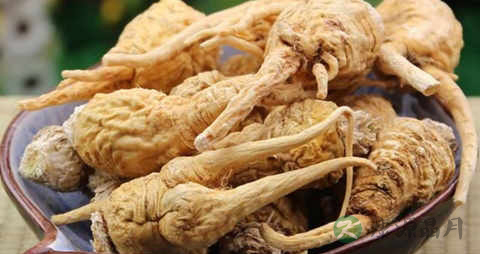 吃玛卡能吃灵芝吗 吃玛卡能吃灵芝吗