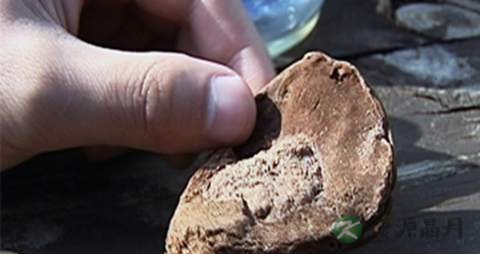 阿魏的药用价值_阿魏的副作用 阿魏的药用价值_阿魏的副作用