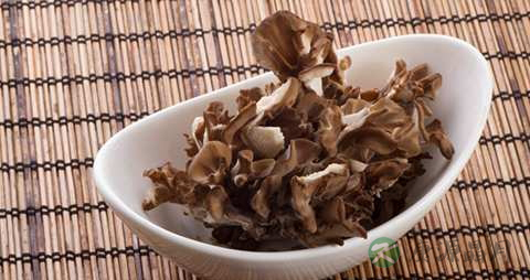 灰树花的药用价值_灰树花的副作用 灰树花的药用价值_灰树花的副作用