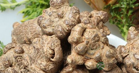 土三七的功效与作用 土三七的功效与作用