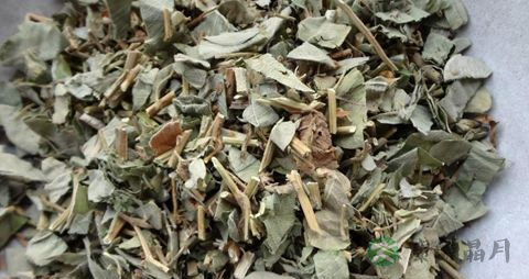 治疗胆结石的中草药有哪些 治疗胆结石的中草药有哪些