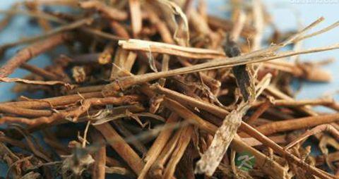 大戟的功效与作用 大戟的功效与作用