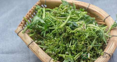 鸡屎藤的药用价值_鸡屎藤的副作用 鸡屎藤的药用价值_鸡屎藤的副作用