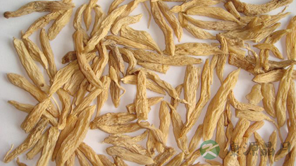 山麦冬的功效与作用_山麦冬的药用价值 山麦冬的功效与作用_山麦冬的药用价值