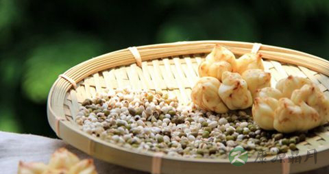 养肝护肝的中草药有哪些 养肝护肝的中草药有哪些