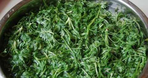 白蒿的药用价值_白蒿的副作用 白蒿的药用价值_白蒿的副作用