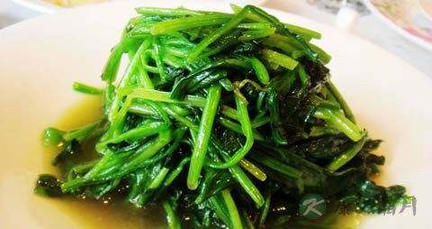 菠菜的功效与作用_菠菜的药用价值 菠菜的功效与作用_菠菜的药用价值