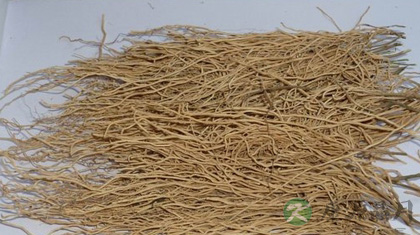 徐长卿的功效与作用_徐长卿的药用价值 徐长卿的功效与作用_徐长卿的药用价值