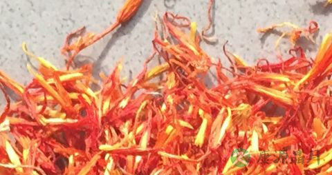 红花茶有害吗 红花茶有害吗