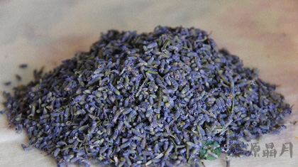 薰衣草的功效与作用_薰衣草的药用价值 薰衣草的功效与作用_薰衣草的药用价值