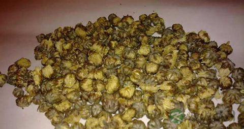 降压中草药有哪些 降压中草药有哪些