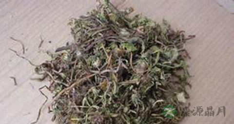 抗菌中草药有哪些 抗菌中草药有哪些