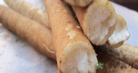 牛蒡根的功效与作用 牛蒡根的功效与作用