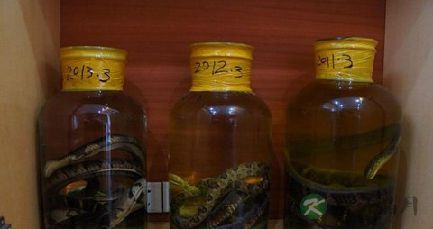 蛇酒的功效 蛇酒的功效