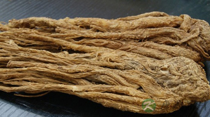 如何辨别当归 如何辨别当归