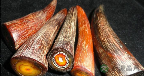 犀角的功效与作用 犀角的功效与作用