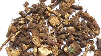 山豆根的功效与作用_山豆根的药用价值 山豆根的功效与作用_山豆根的药用价值