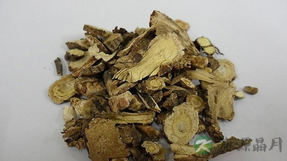 前胡的功效与作用_前胡的药用价值