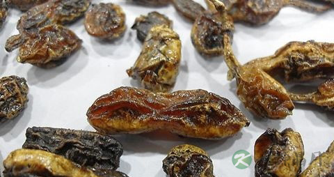 槐角的药用价值_槐角的副作用 槐角的药用价值_槐角的副作用