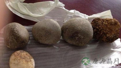 狗宝的功效与作用_狗宝的药用价值 狗宝的功效与作用_狗宝的药用价值