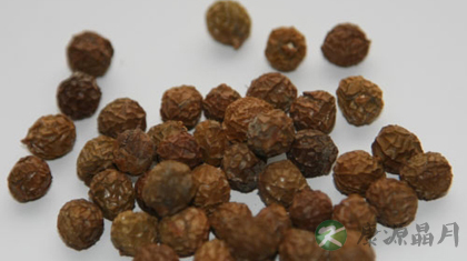 梧桐子的功效与作用_梧桐子的药用价值 梧桐子的功效与作用_梧桐子的药用价值