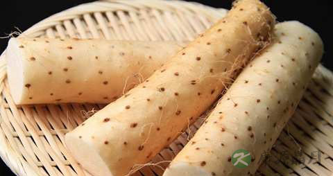 中药山药功效