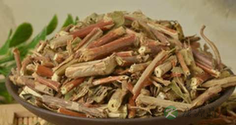 忍冬藤的药用价值_忍冬藤的副作用 忍冬藤的药用价值_忍冬藤的副作用