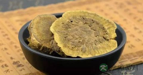 大黄的功效与作用_大黄的药用价值