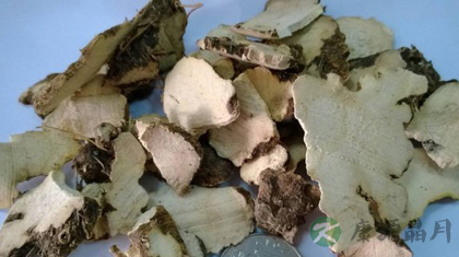 粉萆薢的功效与作用_粉萆薢的药用价值 粉萆薢的功效与作用_粉萆薢的药用价值