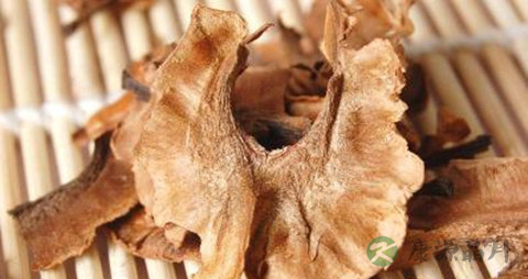 核桃分心木的功效与作用 核桃分心木的功效与作用