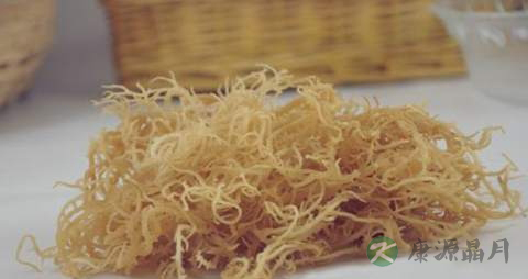 石花菜的功效与作用 石花菜的功效与作用