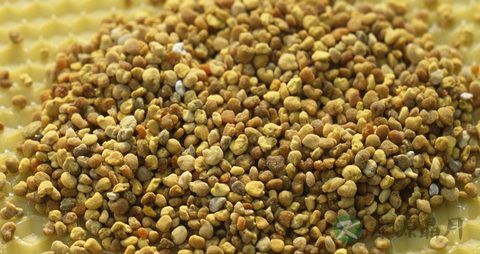 花粉的副作用 花粉的副作用