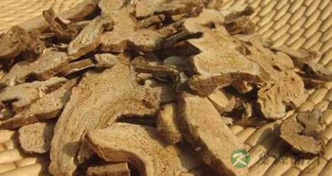 生地黄的药用价值_生地黄的副作用 生地黄的药用价值_生地黄的副作用