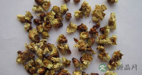 梅花的功效与作用_梅花的药用价值 梅花的功效与作用_梅花的药用价值
