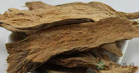 千年健的功效与作用 千年健的功效与作用