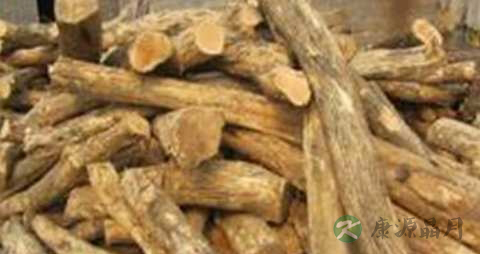 黄杨木的药用价值_黄杨木的副作用 黄杨木的药用价值_黄杨木的副作用
