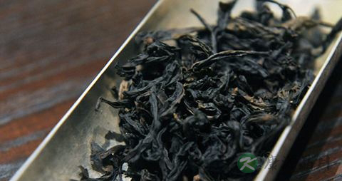 铁罗汉的药用价值_铁罗汉的副作用 铁罗汉的药用价值_铁罗汉的副作用